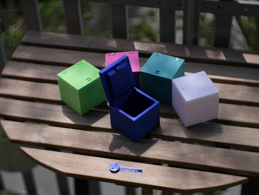 Druck-in-Place-Verschlussbox Print in Place Locking Box